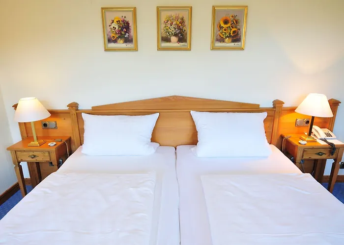 阿尔特帕克霍夫酒店 汉诺威-明登