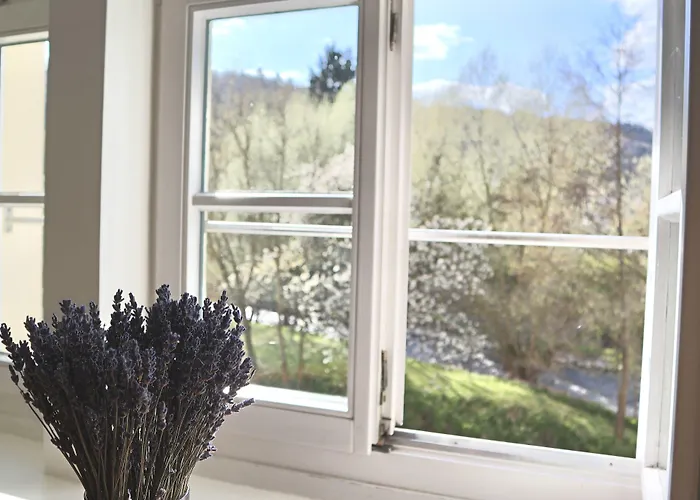 酒店 阿尔特帕克霍夫酒店 4*