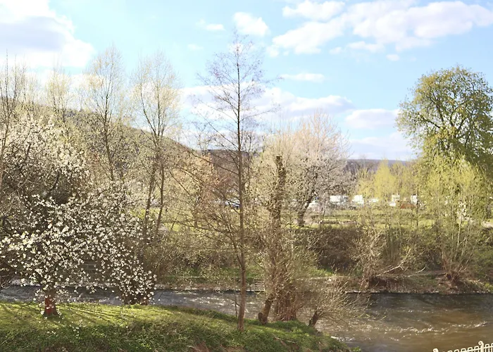 阿尔特帕克霍夫酒店 4*