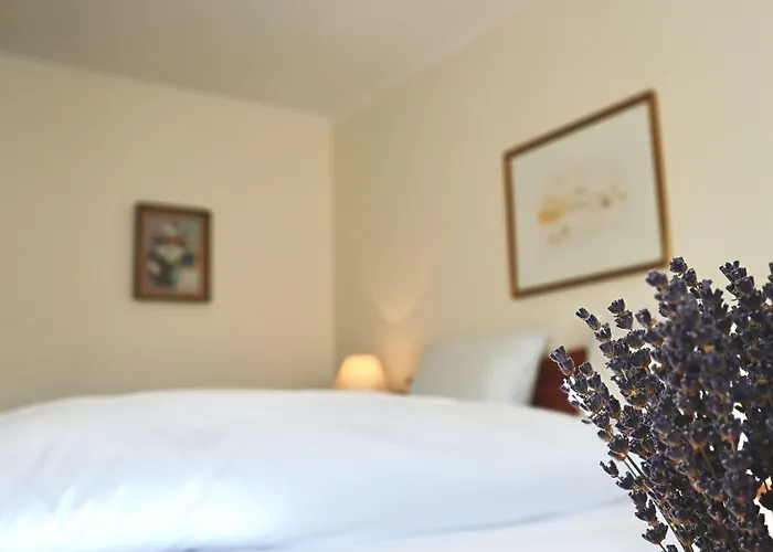 阿尔特帕克霍夫酒店 酒店 4*